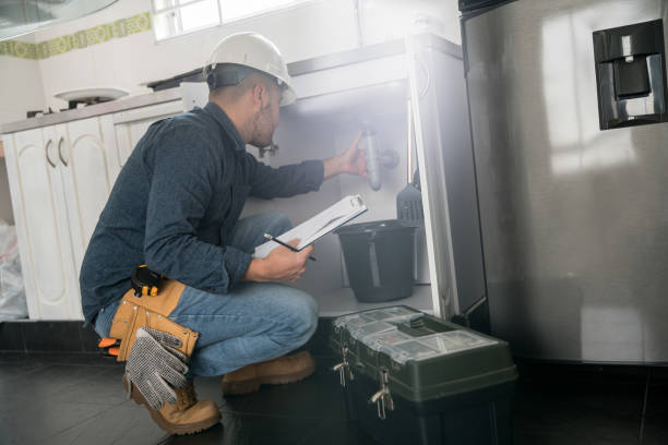 Best Local Plumber Services  in Kasson, MN